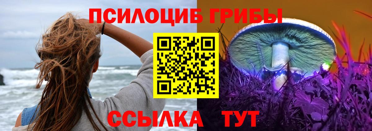 Псилоцибиновые грибы прущие грибы Златоуст