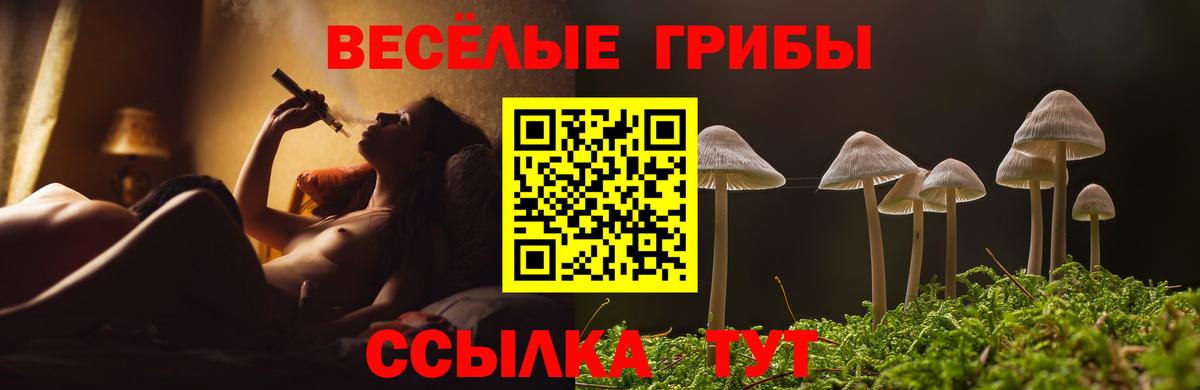 Галлюциногенные грибы мухоморы  Вход с VPN  купить закладку  Псилоцибиновые грибы Cubensis  Златоуст 
